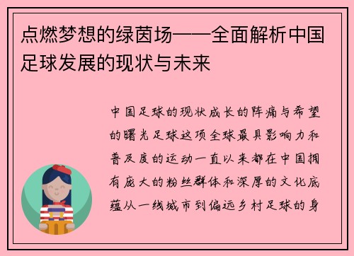 点燃梦想的绿茵场——全面解析中国足球发展的现状与未来